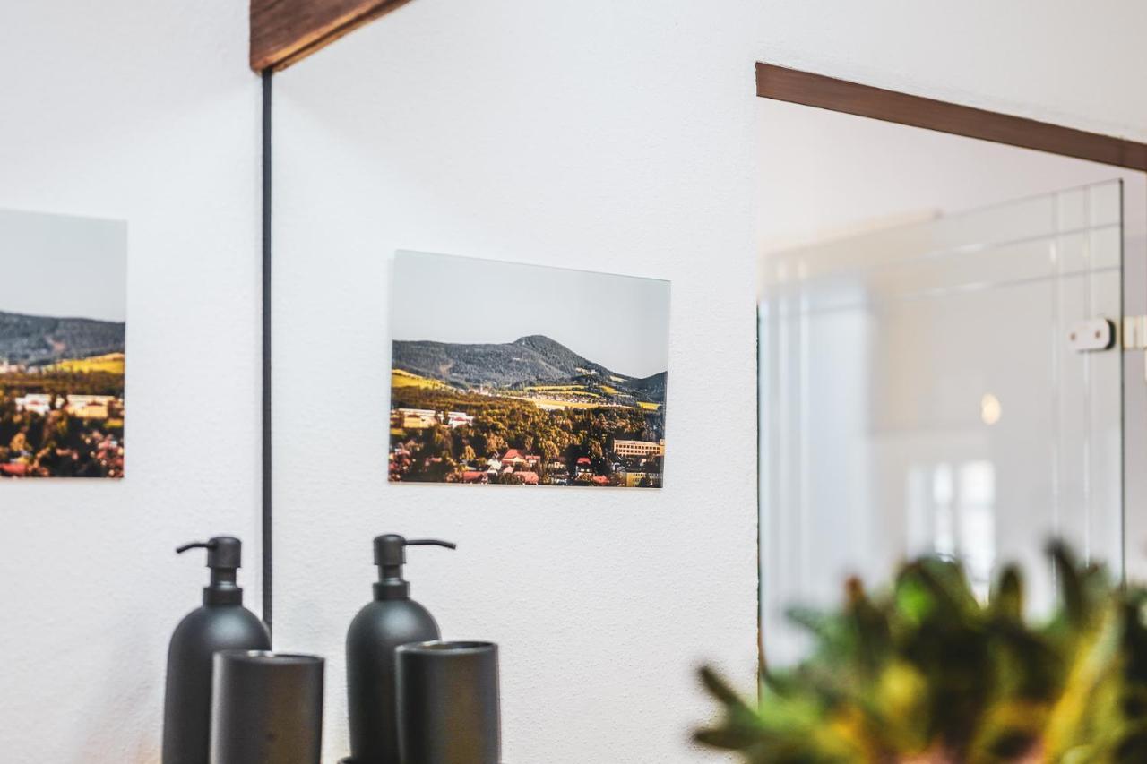 Studio Apartment Zur Alten Post, 48Qm Individualapartment Mit Blick Ueber Zittaus Altstadt, Ferienwohnung Im Altstadtkern Umrandet Vom Zittauer Gebirge 外观 照片